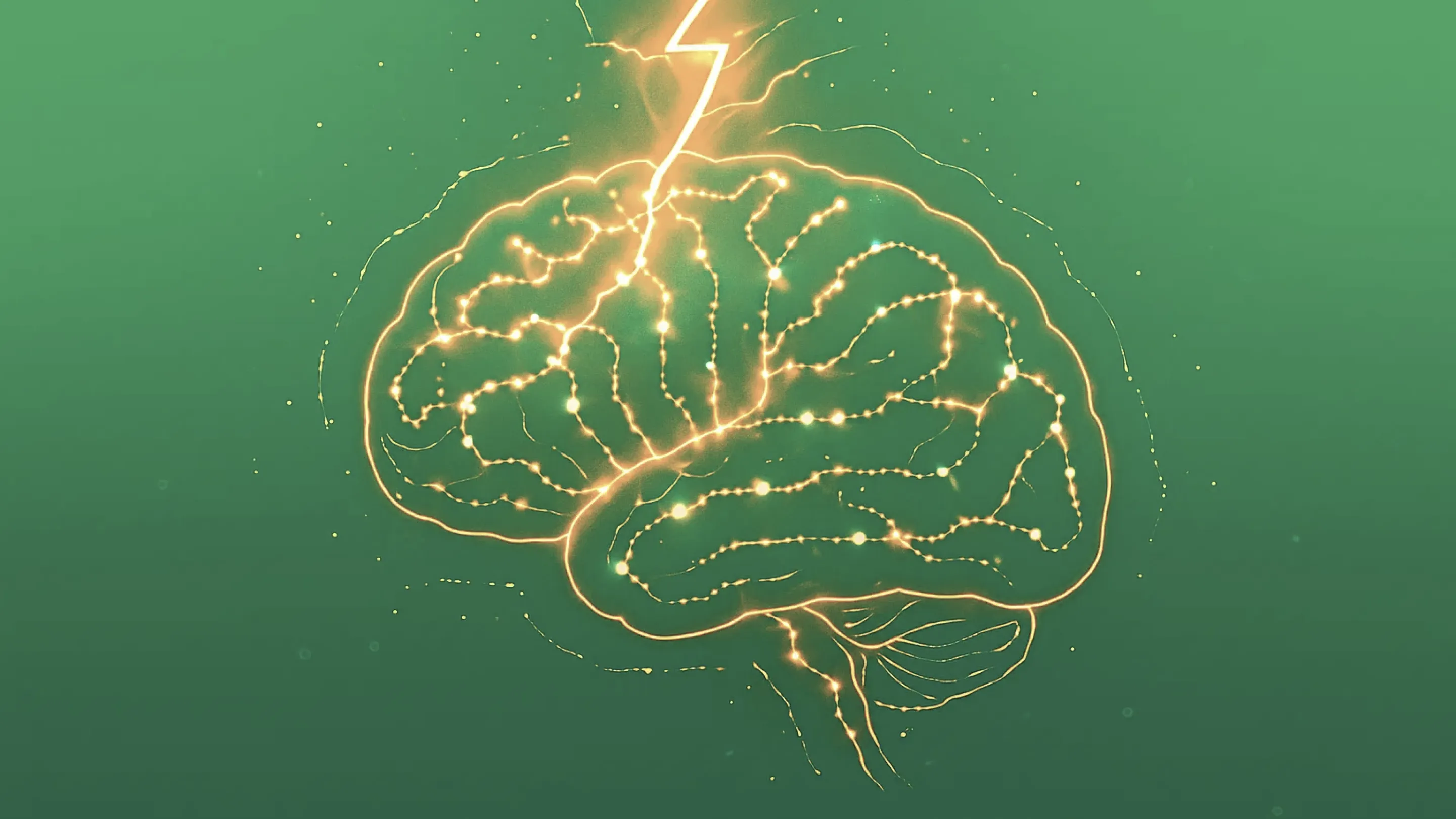 Холин: что это такое и для чего он нужен