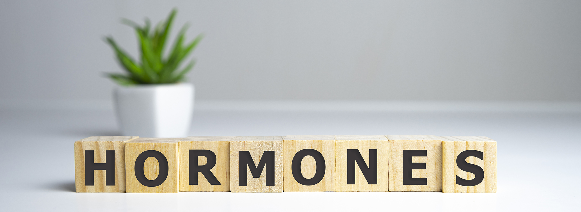  Гормональное расписание дня