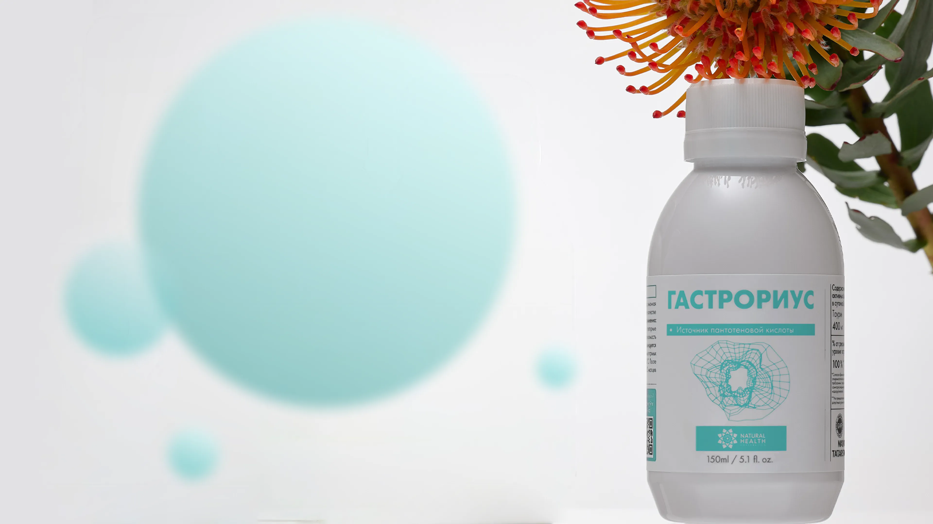 Витамин B5 (Пантотеновая кислота)