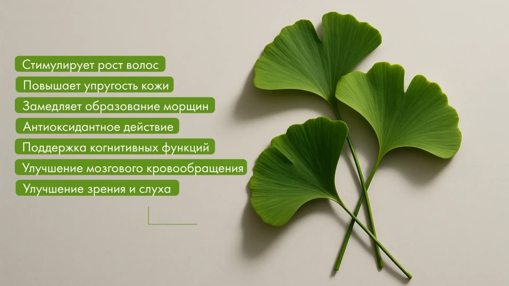 Изображение 1_2.webp