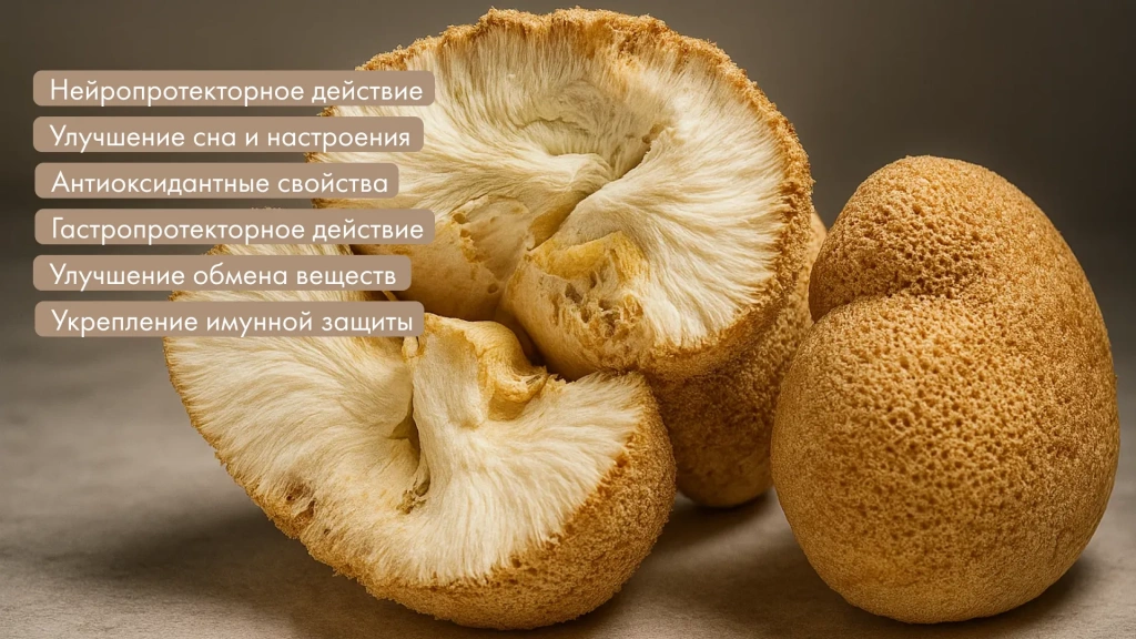 Изображение 1_2.webp Изображение 1_2.webp