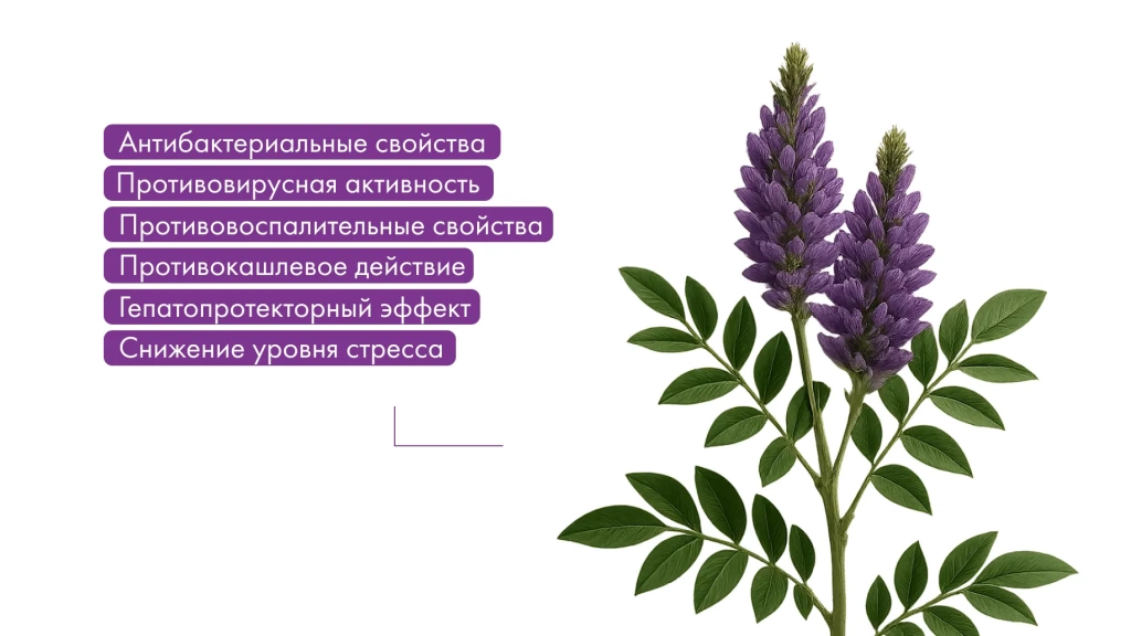 Изображение 1_2.webp