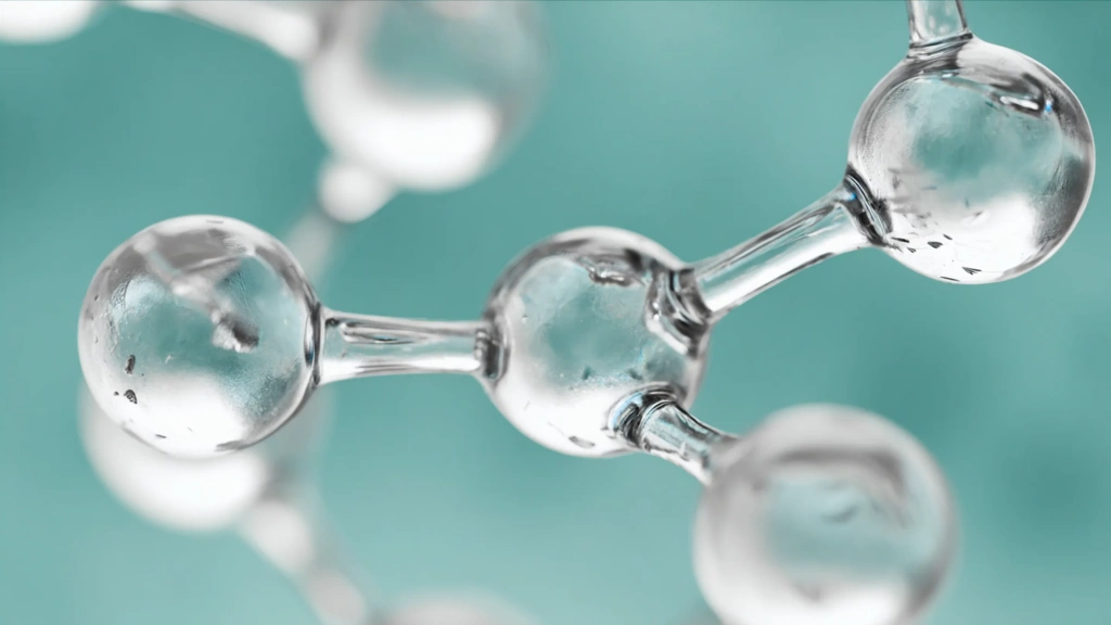 Витамин Р - 1_1.webp