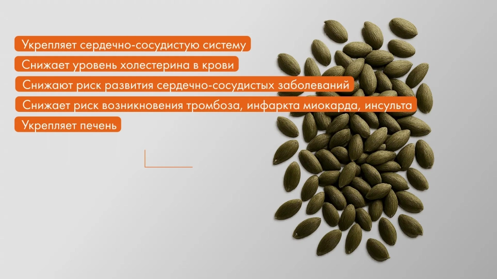 Изображение 2_3.webp Изображение 2_3.webp