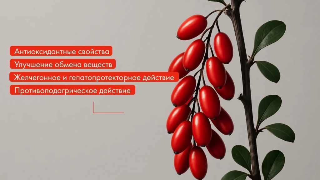 Изображение 2_3.webp