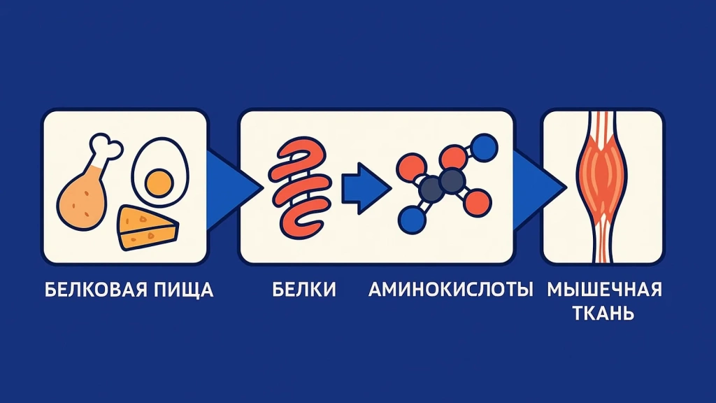 Изображение 2_7.webp