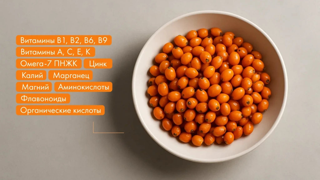 Изображение 2_3.webp