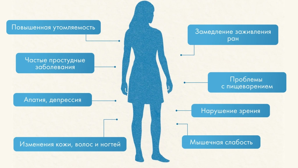 Изображение 1_2.webp Изображение 1_2.webp