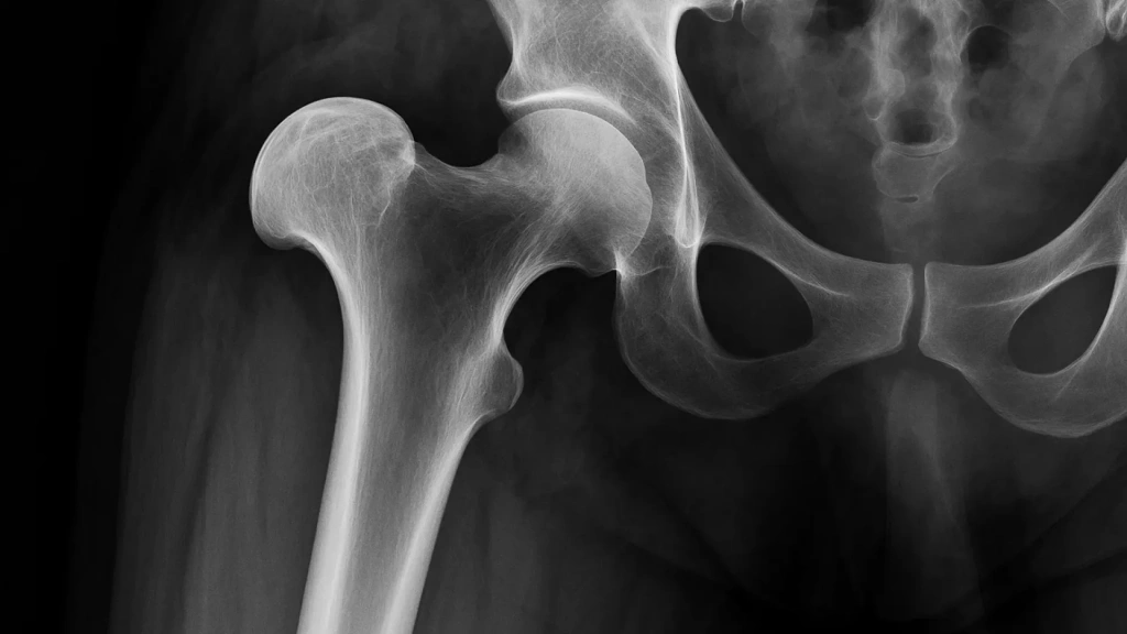 Изображение 2_3.webp