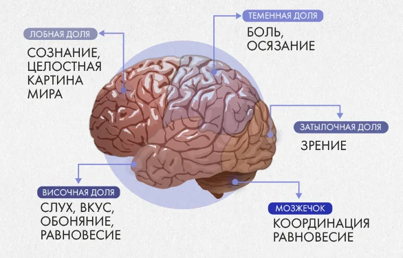 симптомы ишемического инсульта