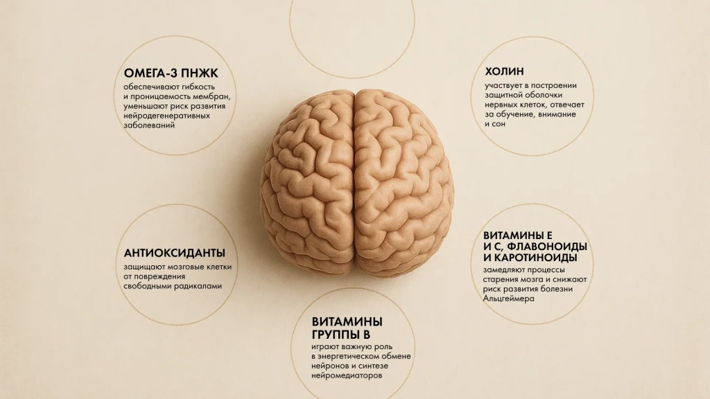 Изображение 2_3.webp Изображение 2_3.webp