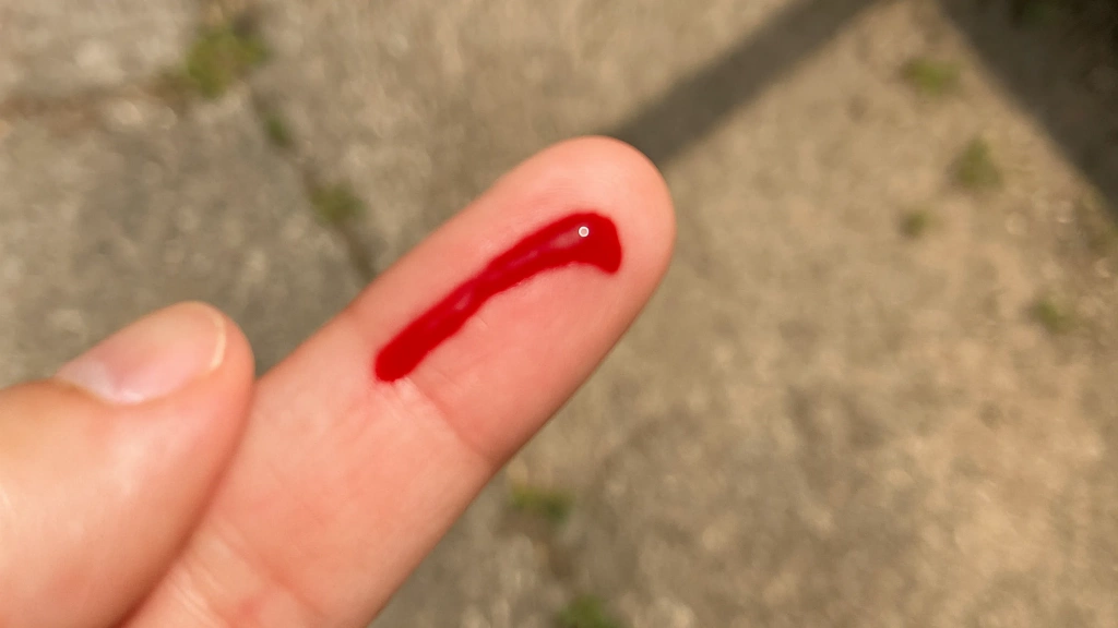 Изображение 3_19.webp