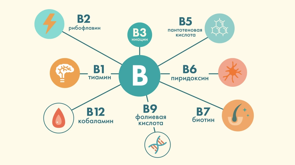 Изображение 2_2.webp